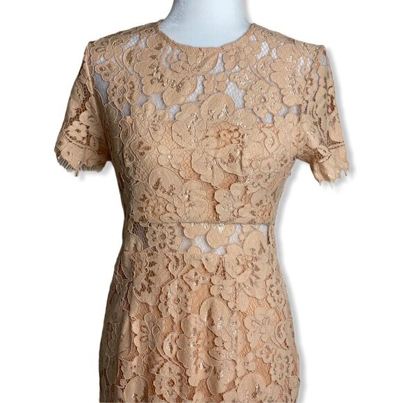 NSR Lace Short Sleeve Sheath Midi Dress in Beige Womens Sz Small $115 - Picture 2 of 7